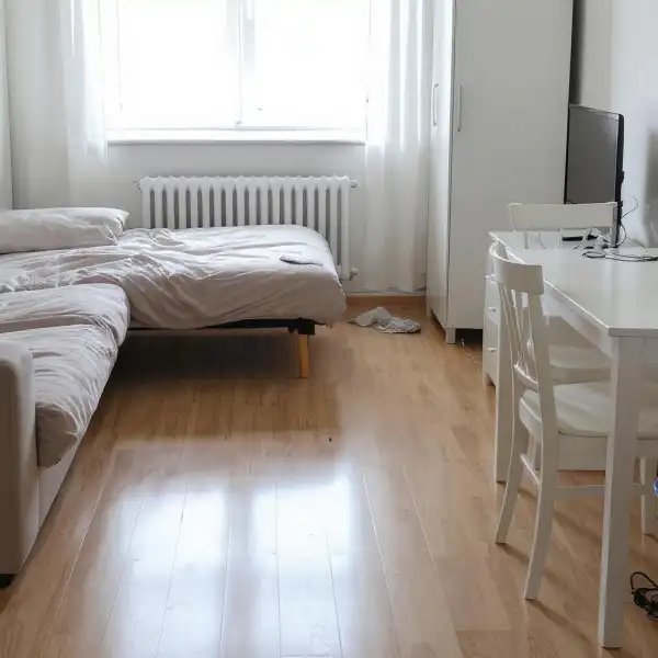 Однокомнатная квартира после аренды - до уборки